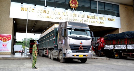 Đề nghị bảo mật thông tin doanh nghiệp xuất nhập khẩu trên nền tảng cửa khẩu số