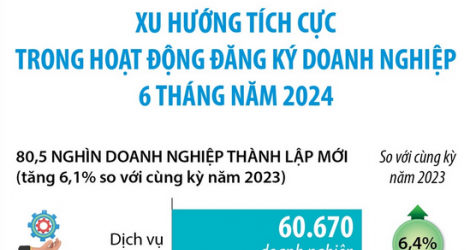 Xu hướng tích cực trong hoạt động đăng ký doanh nghiệp 6 tháng năm 2024