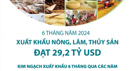 Xuất khẩu nông, lâm, thủy sản đạt 29,2 tỷ USD sau 6 tháng năm 2024